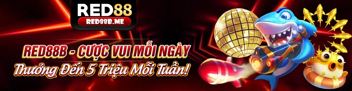 Hình ảnh tổng quan về nền tảng pt888 uy tín